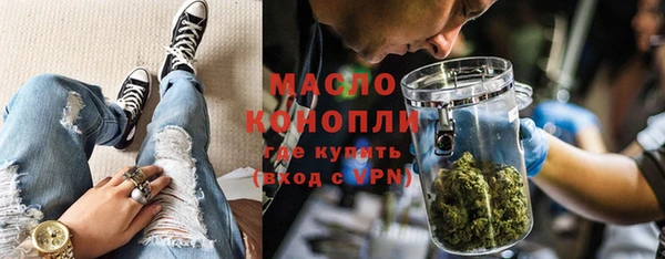 индика Михайловка