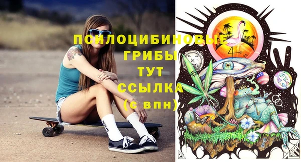 индика Михайловка